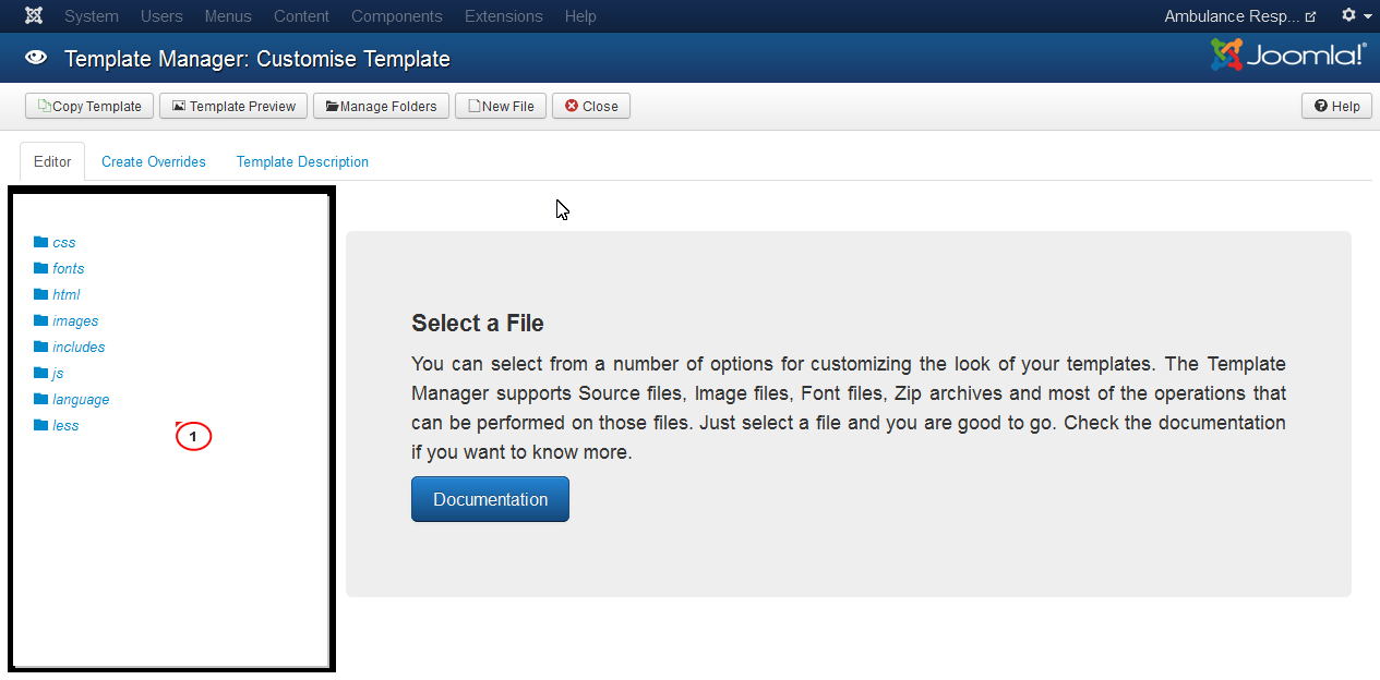 Template files list view showing no editable CSS options